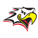 Ваасан Спорт logo