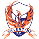 Away team logo
