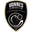 Home team logo