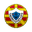 Away team logo