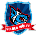 Вер Селб logo