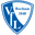 Home team logo
