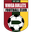 Away team logo