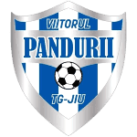 Пандурий logo