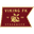 Home team logo