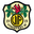 Home team logo