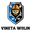 Home team logo