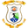 Home team logo