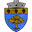 Home team logo