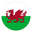 Home team logo