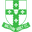 Home team logo
