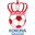 Home team logo