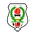 Home team logo
