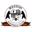 teamLogo