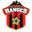Home team logo