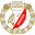 Home team logo