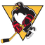 Wilkes Barre-Scranton Penguins