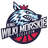 Home team logo