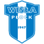 Висла Плоцк logo