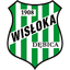 Вислока Дембица logo