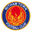 Home team logo