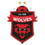 ФК Воллонгон Вульфс logo