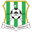 Home team logo