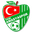 Home team logo