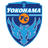 Йокогама ФК logo