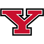 Янгстоун Стейт logo