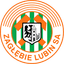 Заглембе Любин U-19 logo