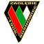 Заглембе Сосновец logo