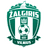Вильнюс ФК Жальгирис logo