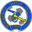 Home team logo