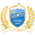 Home team logo