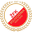 Home team logo