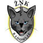 ЗНК Радомле logo
