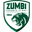Home team logo