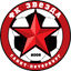 Звезда Санкт-Петербург logo