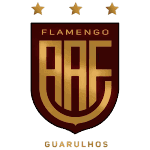 Аа Фламенго U20