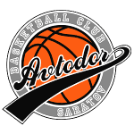 Автодор Саратов logo