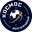 Home team logo