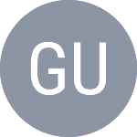 Gulin S. logo