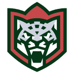 Барс Казань logo