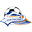 Home team logo