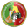 Home team logo