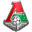 Home team logo