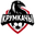 Home team logo
