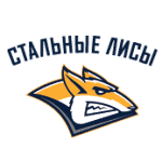 Стальные Лисы logo