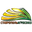 Home team logo